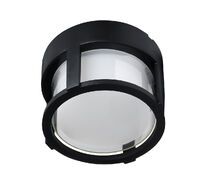 Уличный потолочный светильник Arte Lamp ULYSSES A6206PF-1BK