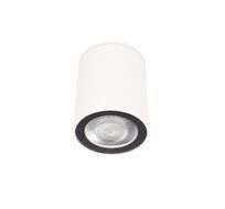 Накладной светильник LOFT IT Rush 10344 White_LF