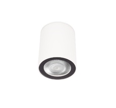 Накладной светильник LOFT IT Rush 10344 White_LF