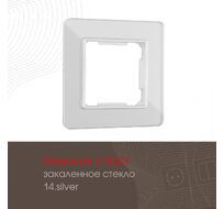 Рамка из закаленного стекла на 1 пост Arte Milano 503.14-1.silver