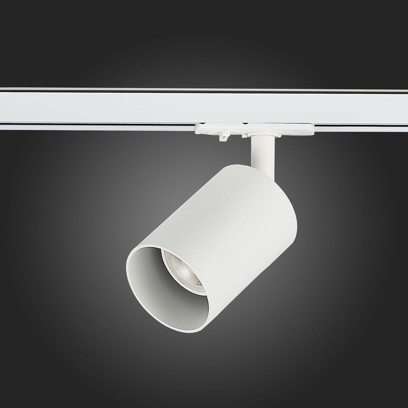 Трековый светильник ST Luce FUNCZIONALE ST302.506.01