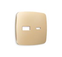 Лицевая панель для розетки 2USB тип A+C QUANT Ambrella Volt OMEGA OP6110_AMB