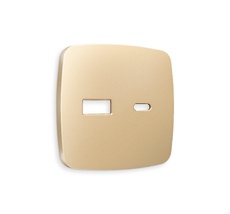 Лицевая панель для розетки 2USB тип A+C QUANT Ambrella Volt OMEGA OP6110_AMB