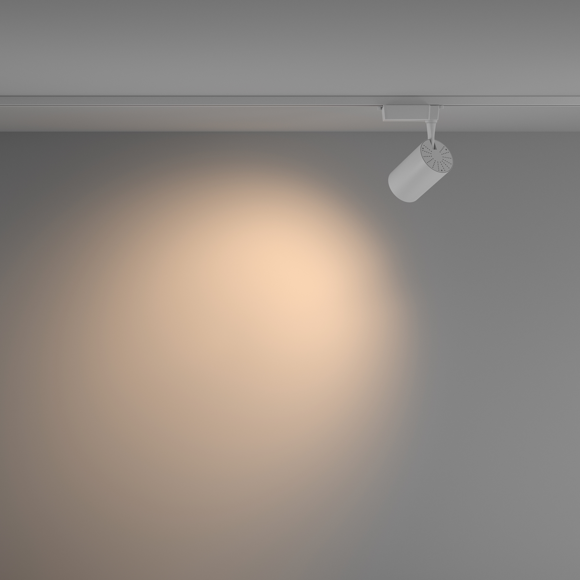 Трековый светильник Maytoni Technical Vuoro TR003-1-15W3K-W-W_MY