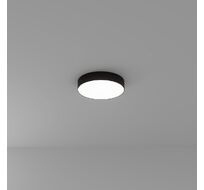 Потолочный светильник Arte Lamp FADO A7335PL-1BK