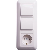 Розетка встраиваемая с заземлением с двумя одноклавишными выключателями (белый) Systeme Electric BK2VR-008V-BI