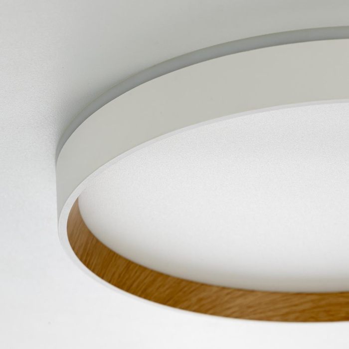 Потолочный светильник Citilux Etalon CL750320R