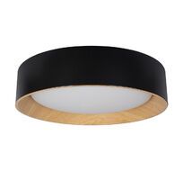 Потолочный светильник Loft IT Coin 10202 Black_LF