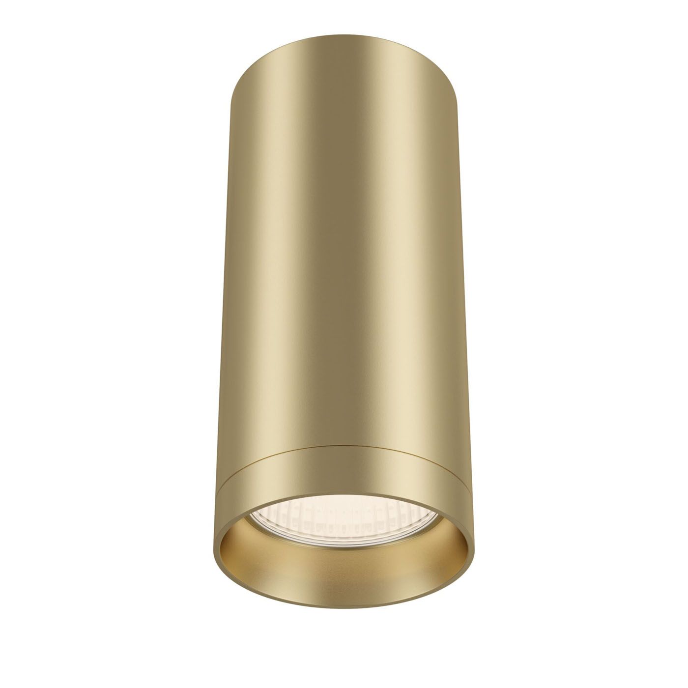 

Накладные светильники Maytoni, C010CL-01MG