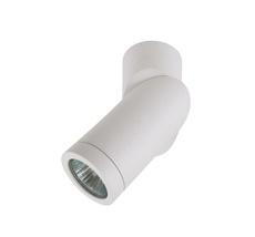 Спот LightStar Illumo 051016_LS