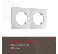 Рамка из поликарбоната на 2 поста Arte Milano 502.04-2.silver