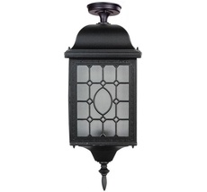 Потолочный светильник уличный IP44 Oasis Light 64805LA cover Bl_OL