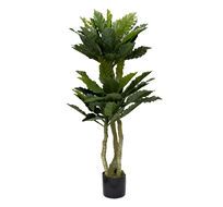 Папоротник гнездовой в горшке Garda Decor 29BJ-934
