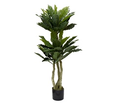 Папоротник гнездовой в горшке Garda Decor 29BJ-934