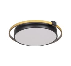 Потолочный светильник Loft IT Mike 10170_LF