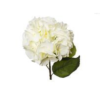 Гортензия Garda Decor 9F28060MK-1538