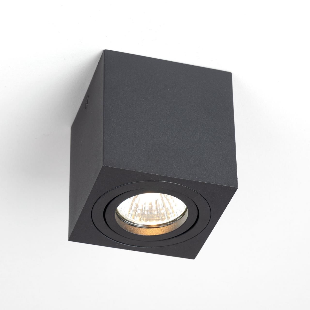 Накладной светильник CitiLux поворотный Дюрен CL538213