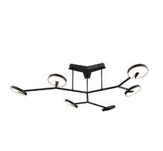 Потолочная люстра Favourite Paritet 4401-6C