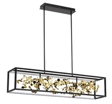 Подвесная люстра Odeon Light BILD 5065/65L