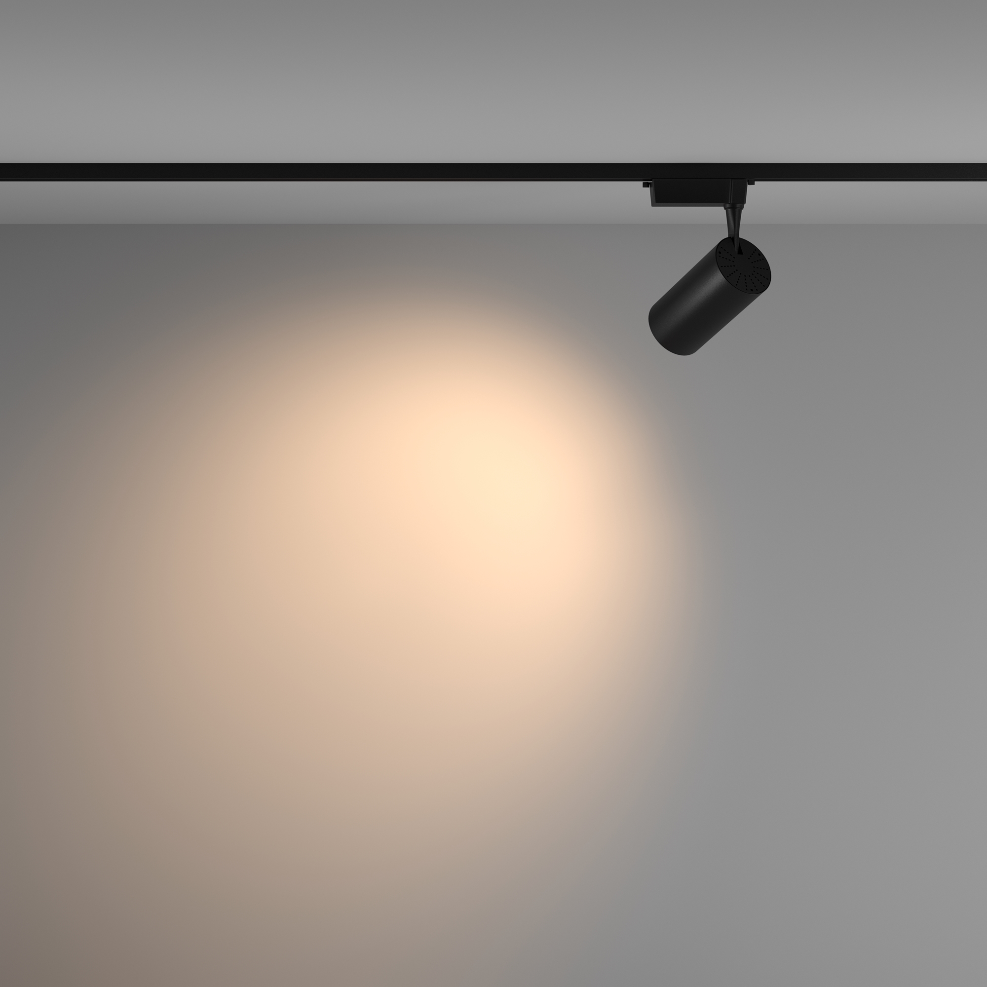 Трековый светильник Maytoni Technical Vuoro TR003-1-36W3K-W-B_MY