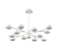 Подвесная люстра LUMION TORINA 8265/12