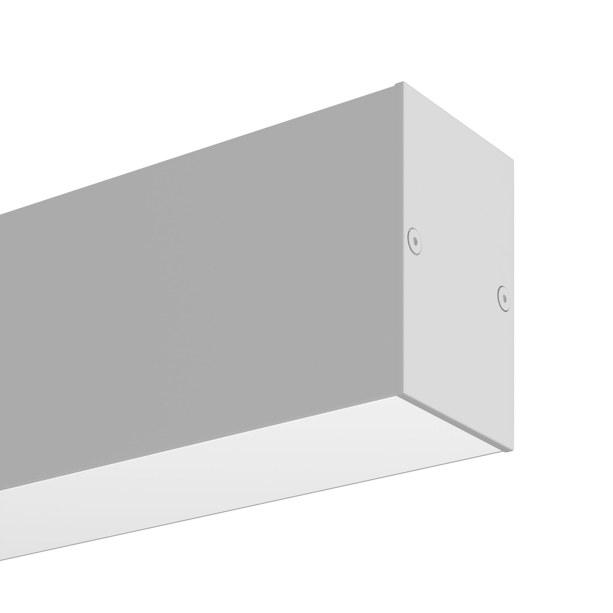 Трековый светильник магнитный Maytoni BASIS TR012-2-20W3K-W_MY