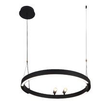 Подвесная люстра F-Promo Slinga 4474-1P