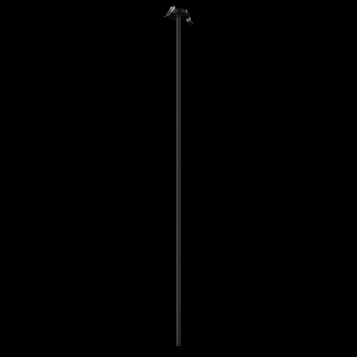 Потолочный светильник LOFT IT Cane 10359/1200 Black_LF