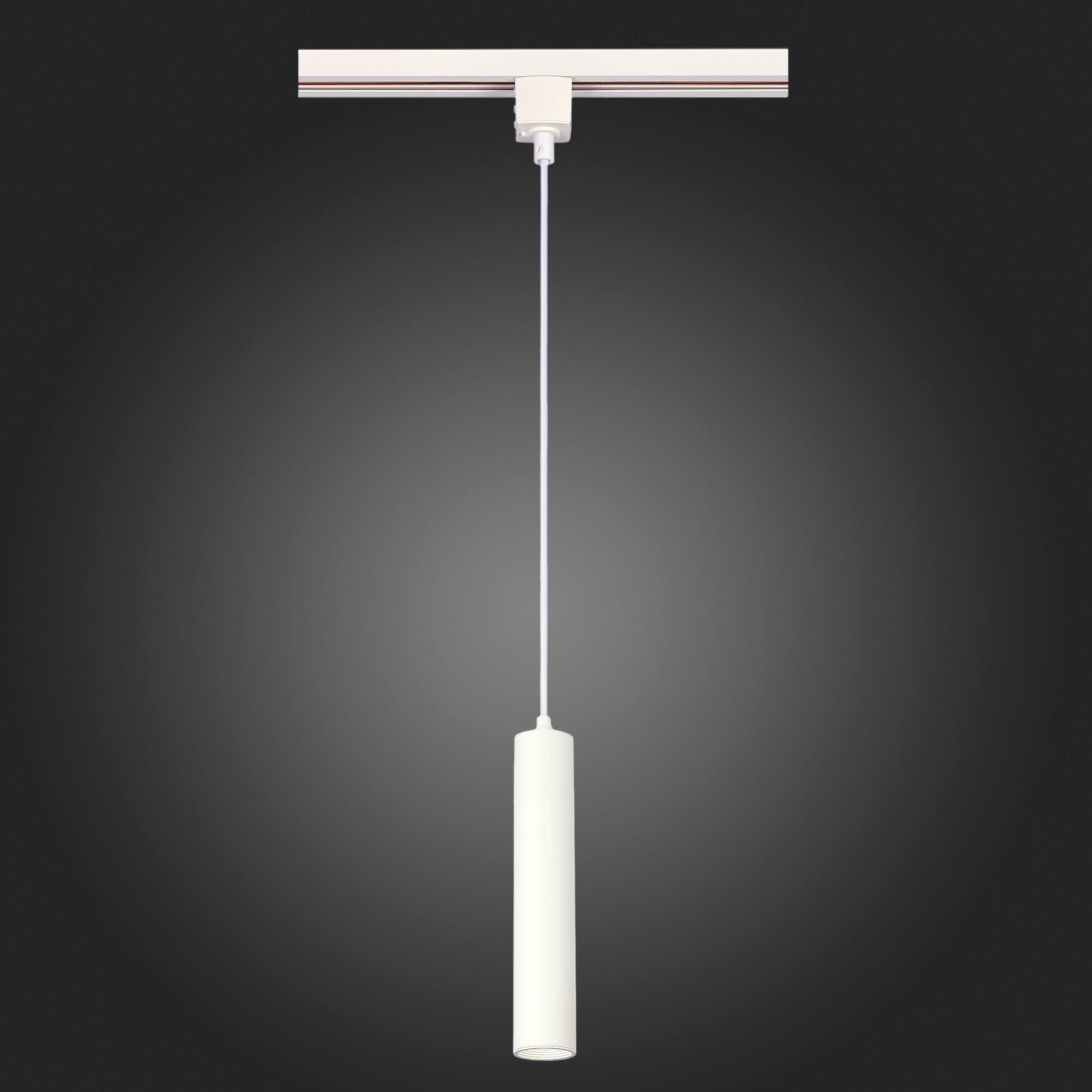 Трековый светильник однофазный ST LUCE ST151.506.01