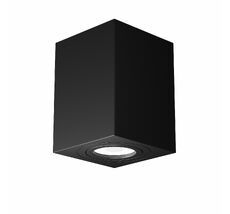 Накладной светильник Maytoni Alfa C017CL-01B_MY