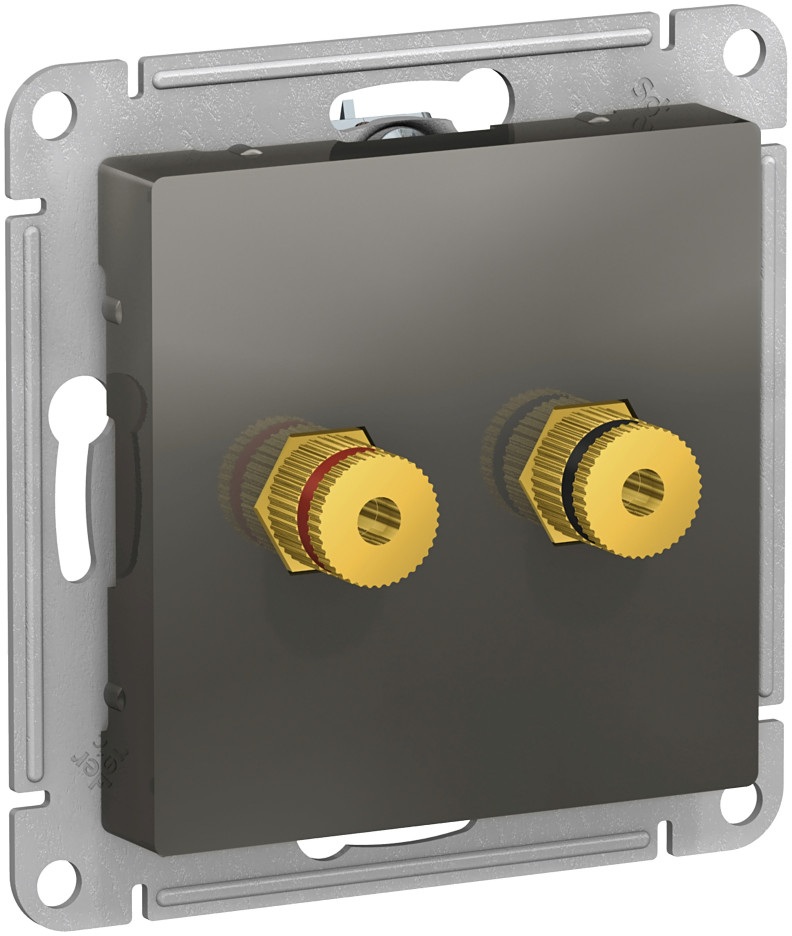 Акустическая розетка встраиваемая двойная (сталь) Systeme Electric ATN000987