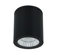 Потолочный уличный светильник Arte Lamp TORCULAR A1813PF-1BK