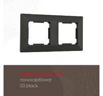 Рамка из поликарбоната на 2 поста Arte Milano 503.03-2.black