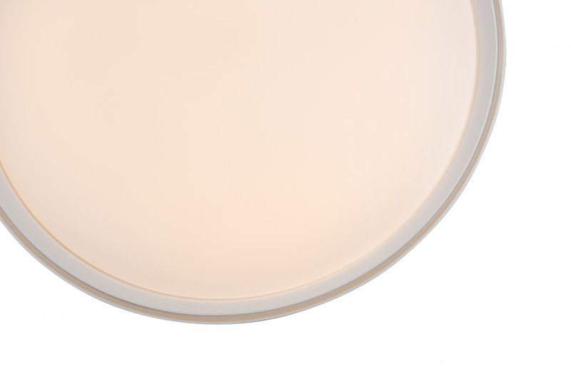 Потолочный накладной светильник Denkirs DK6510-WH