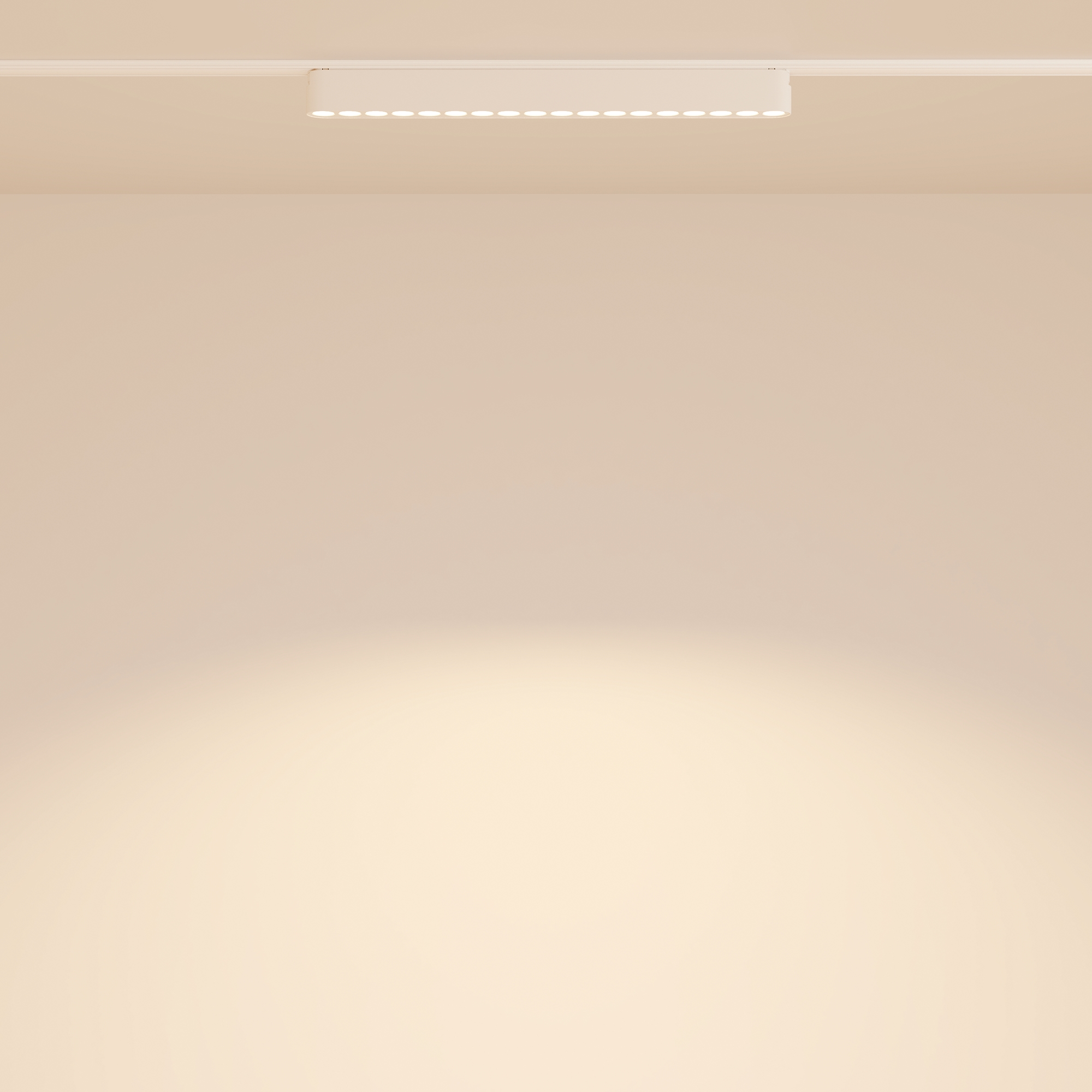 Трековый светильник Maytoni Technical Points TR082-1-18W3K-M-W_MY