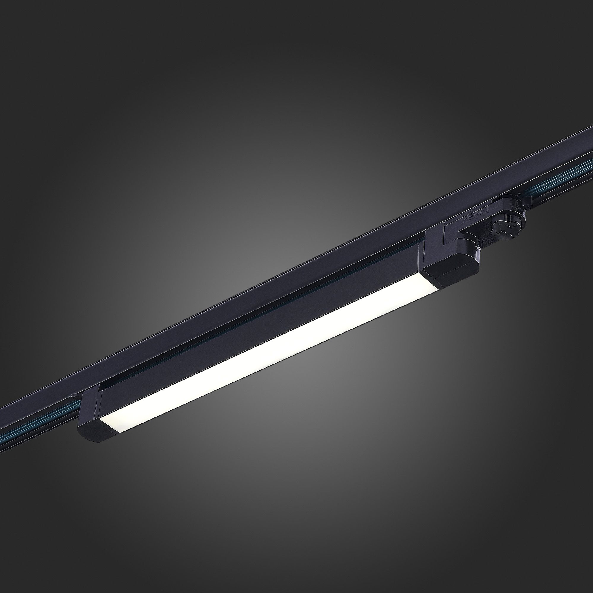 Трековый светильник трехфазный ST LUCE Functional ST663.446.20