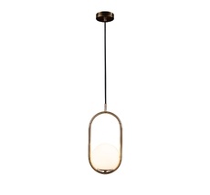 Подвесной светильник Loft IT Glob LOFT2595-A_LF