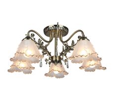 Потолочная люстра Omnilux OML-54807-05