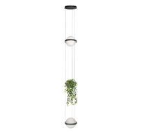 Подвесной светильник Loft IT Jardin 10121/2P Dark grey_LF