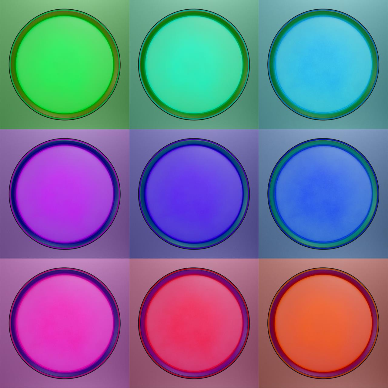 Потолочный светильник Citilux BOSS CL751351G