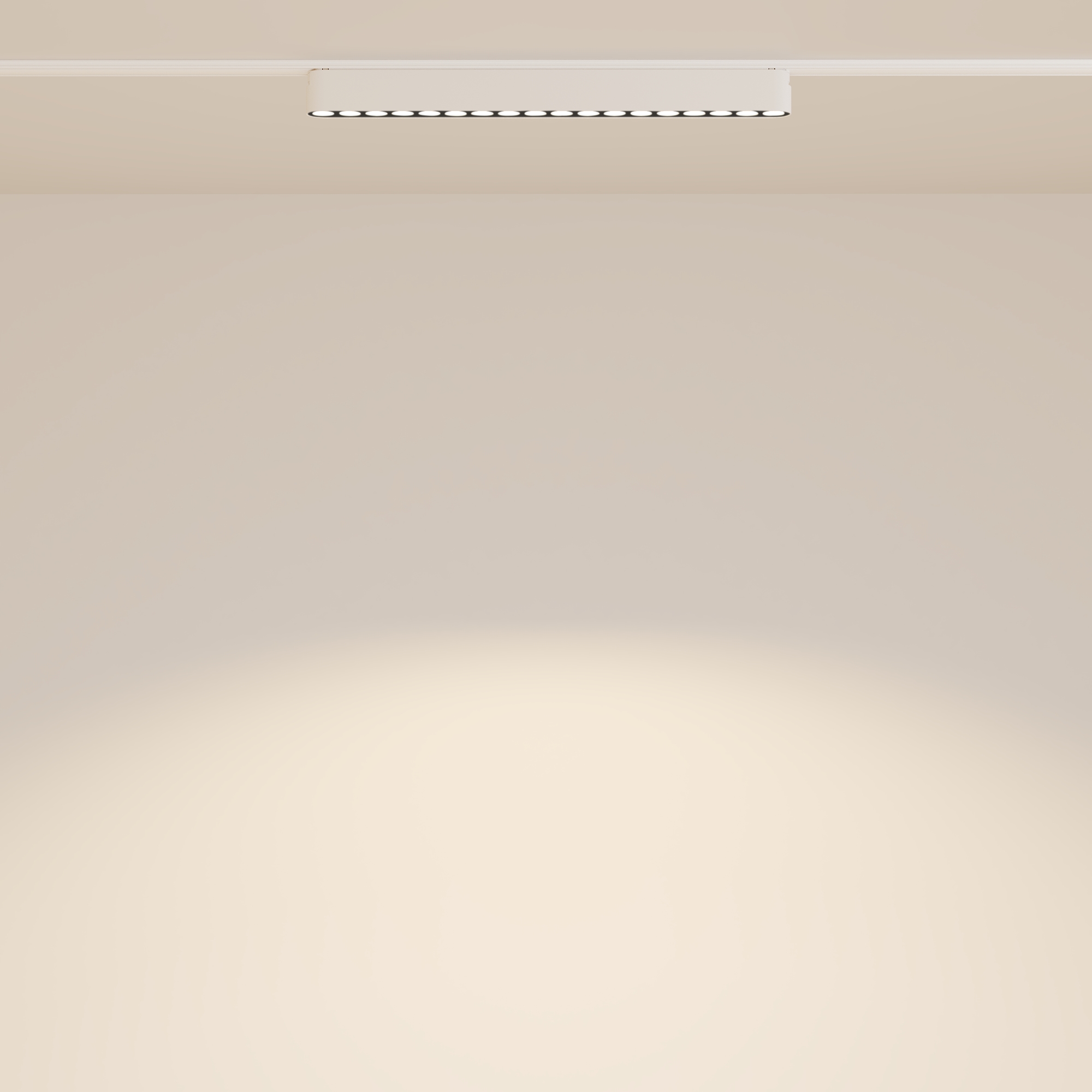 Трековый светильник Maytoni Technical Points TR082-1-18W3K-M-W_MY