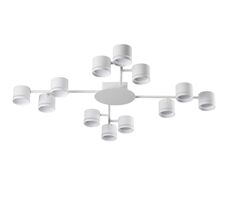Потолочная люстра LUMION GARETA 8235/12C