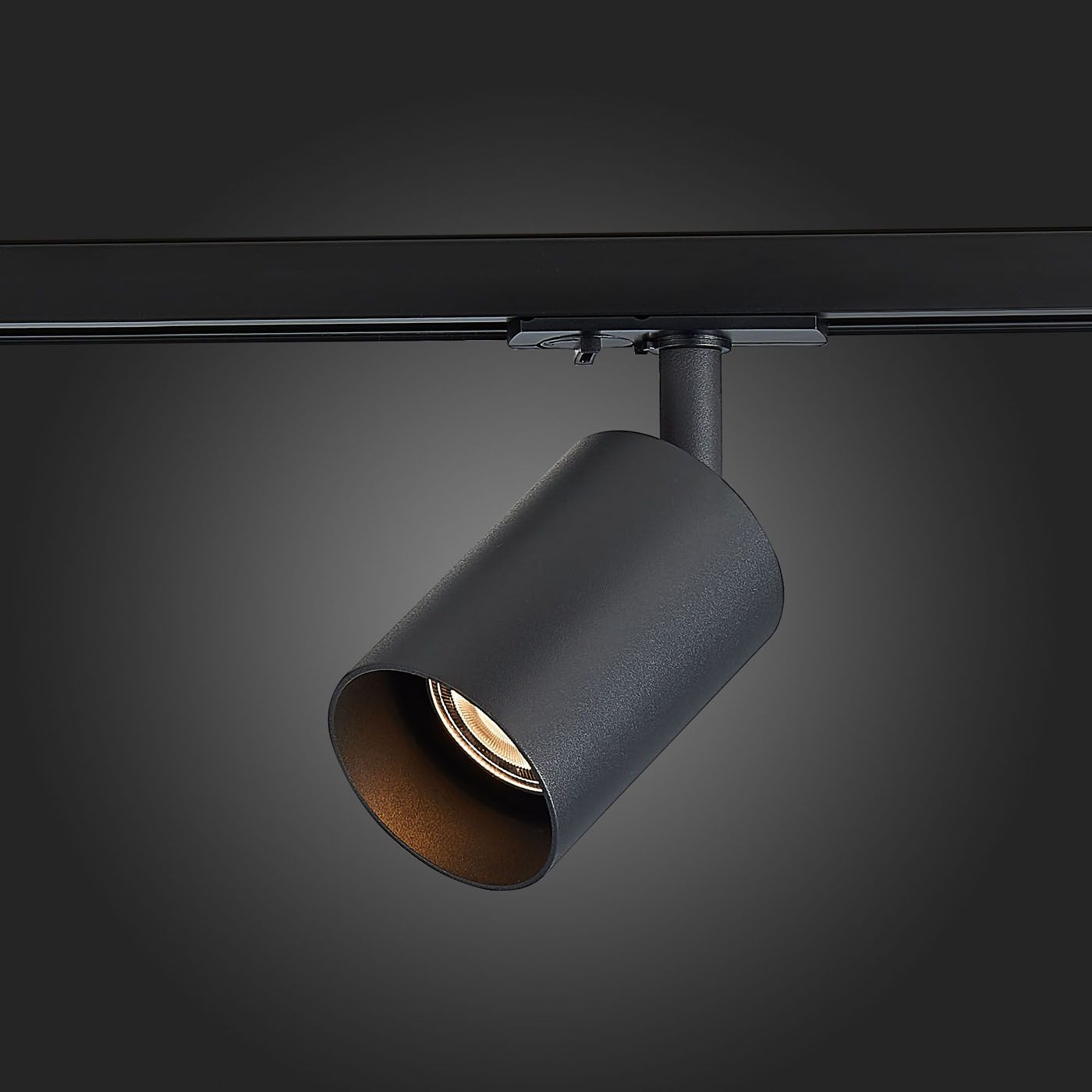 Трековый светильник ST Luce FUNCZIONALE ST302.406.01