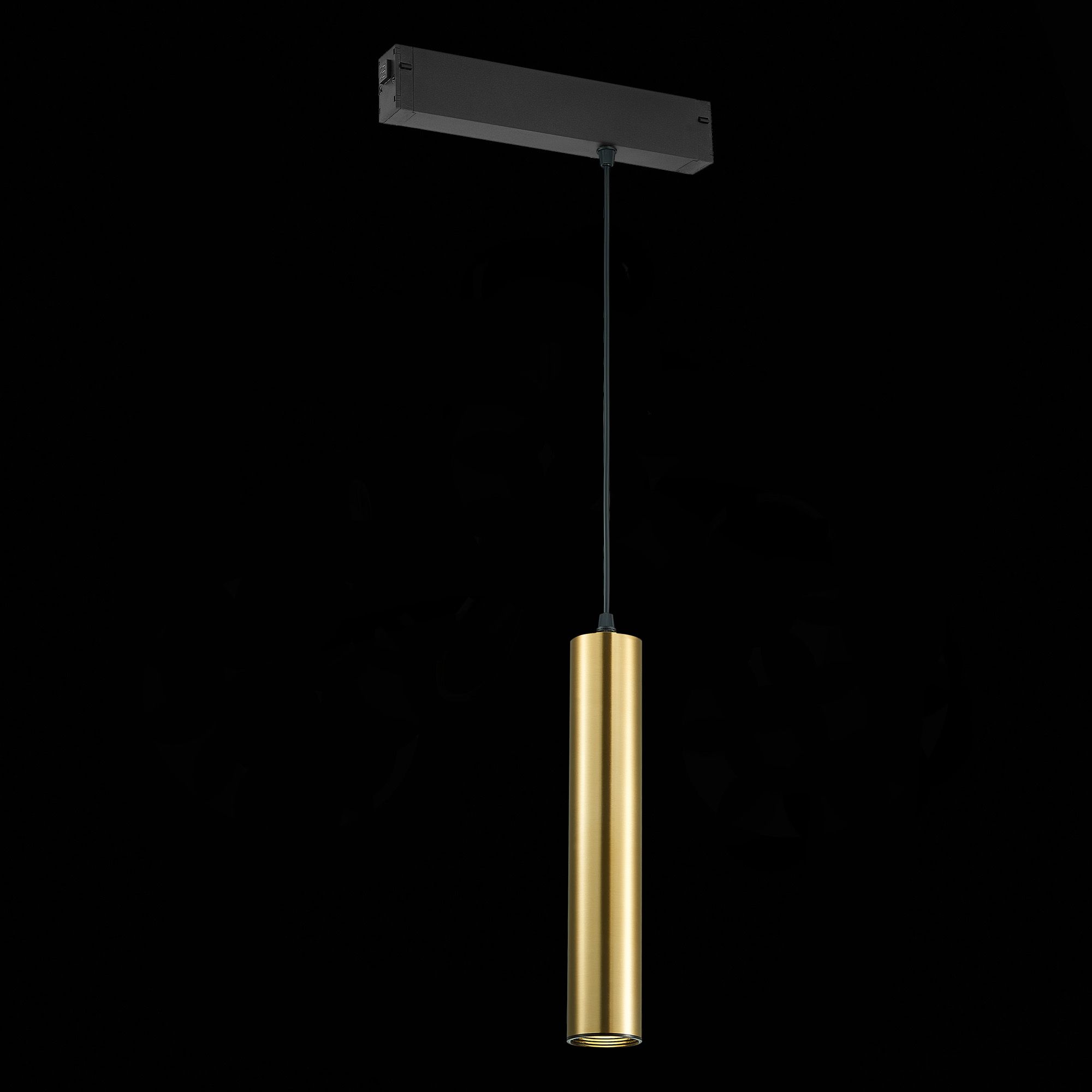 Трековый светильник ST LUCE SKYLINE 220 ST507.303.01