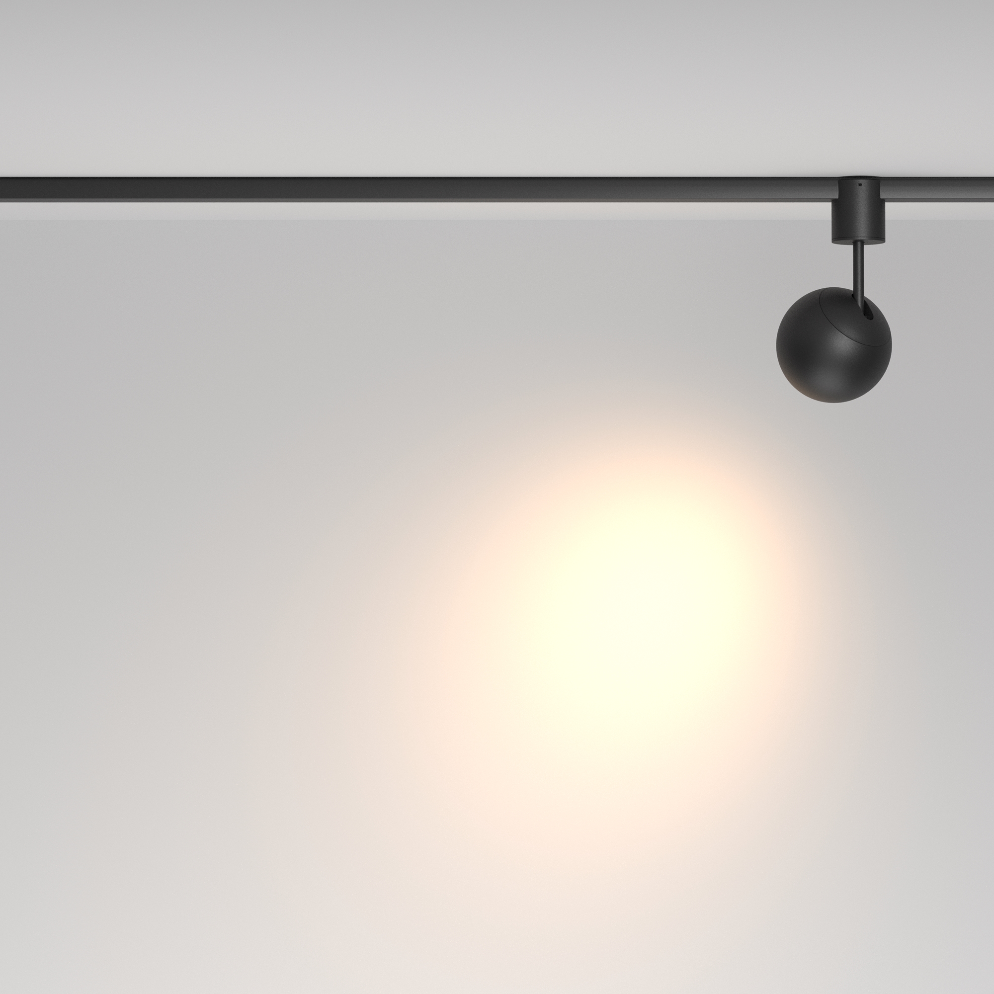 Трековый светильник Maytoni Technical Sfera TR164-1-8W3K-M-B_MY