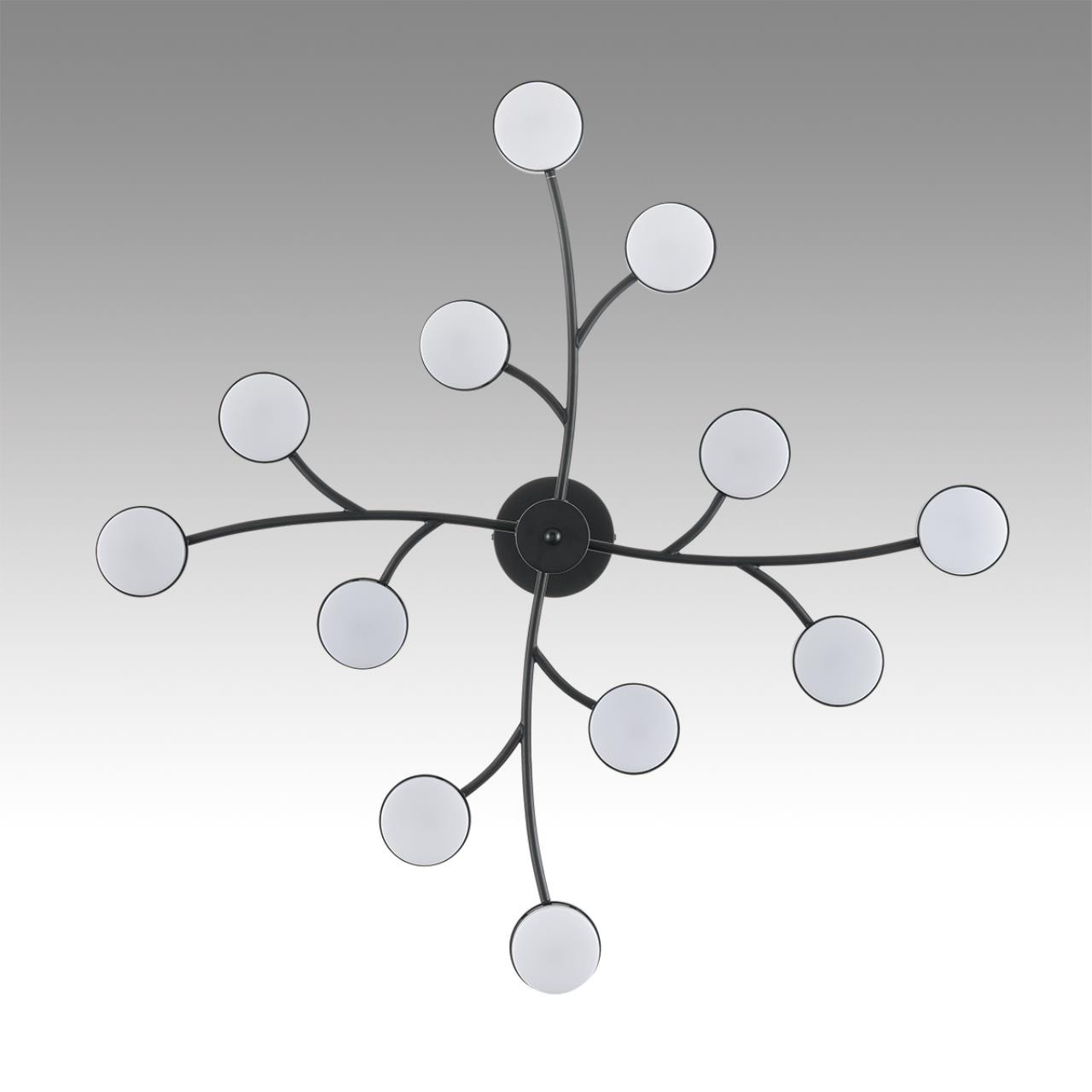 Подвесная люстра на штанге LUMION TORINA 8117/12