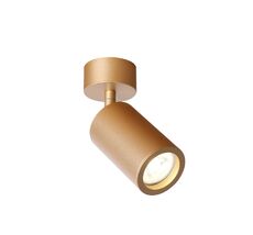 Накладной светильник Favourite Angularis 2802-1U