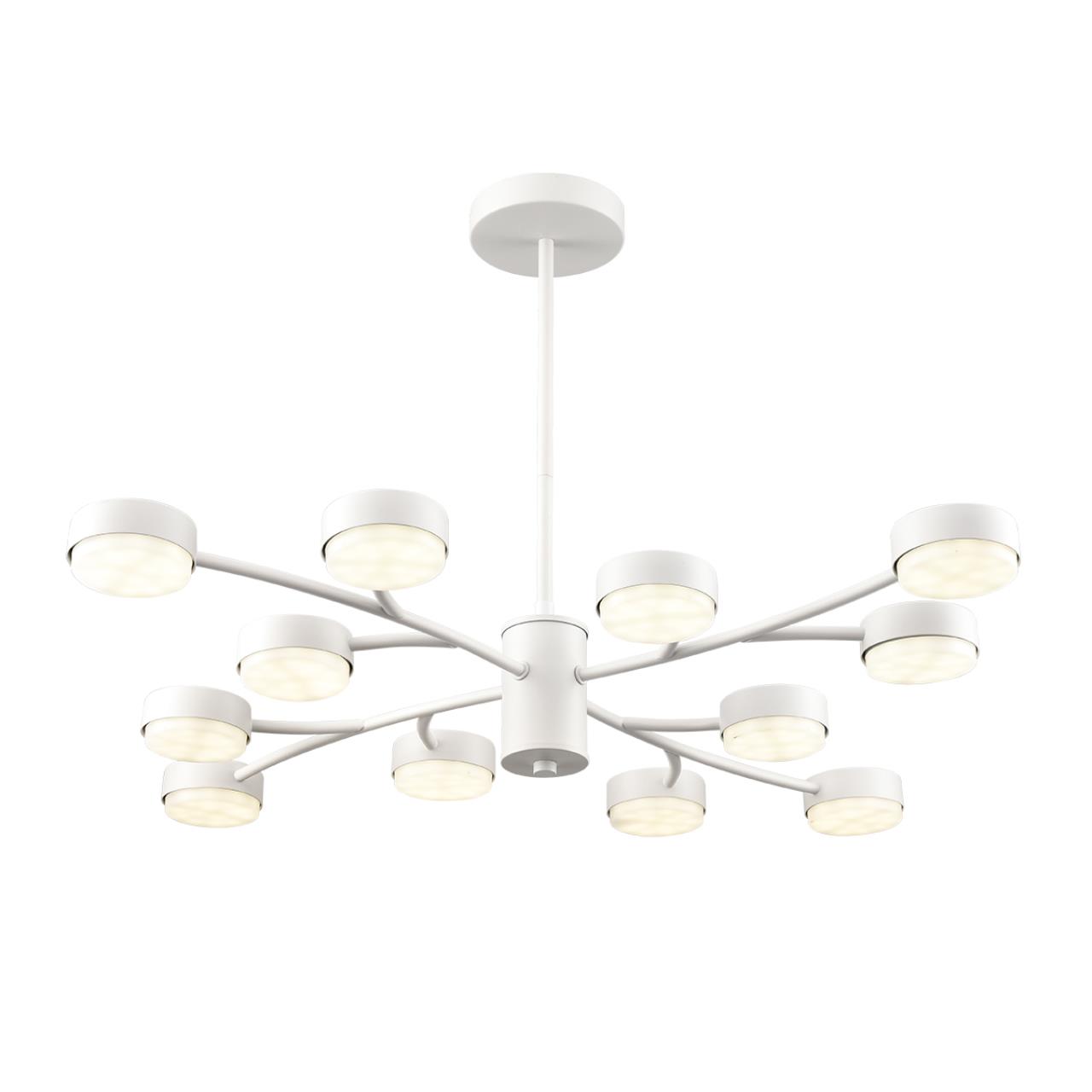 Подвесная люстра LUMION TORINA 8265/12