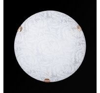 Настенно-потолочный светильник Sneha Перья мат (300) НПБ 01-2х60-001_SN