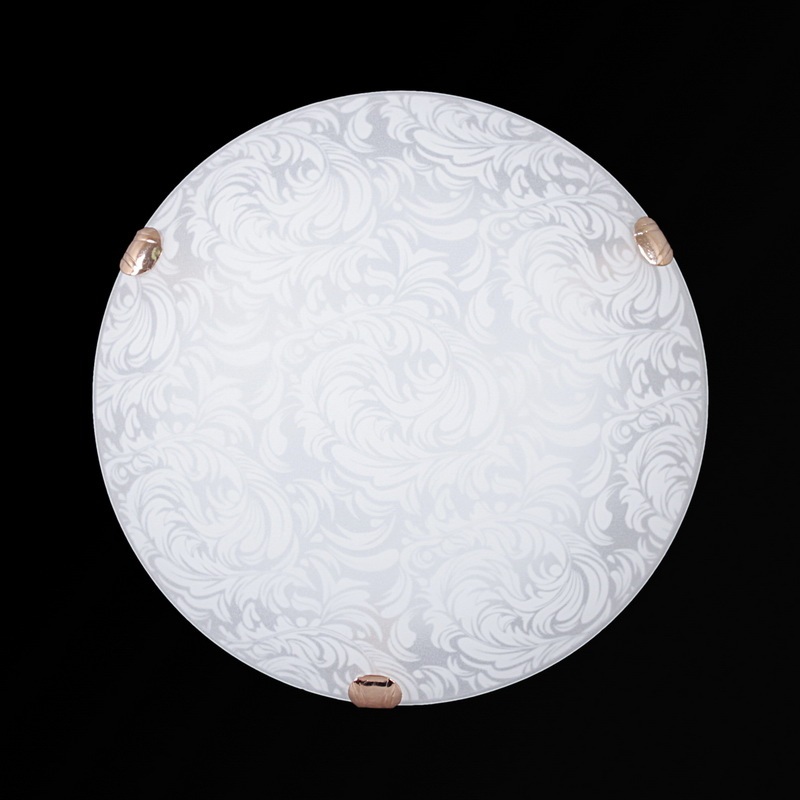 Настенно-потолочный светильник Sneha Перья мат (300) НПБ 01-2х60-001_SN